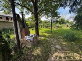 de-inchiriat-casa-la-parter-3-camere-1000-mp-teren-catamaresti-deal-8