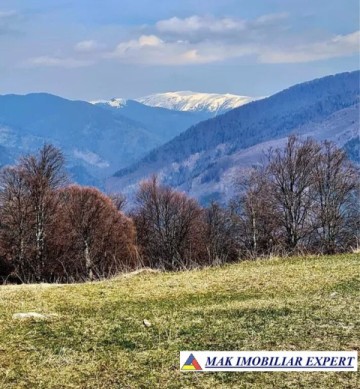 vand-parcele-teren-1000-mp-intravilan-nucsoara-arges-2