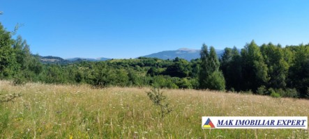 vand-teren-extravilan-7500-mp-bradulet-arges