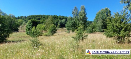 vand-teren-extravilan-7500-mp-bradulet-arges-2