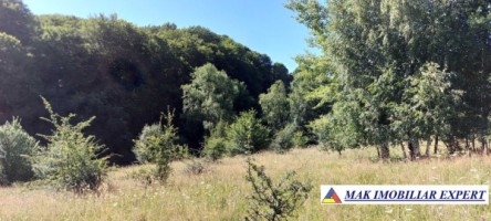 vand-teren-extravilan-7500-mp-bradulet-arges-6