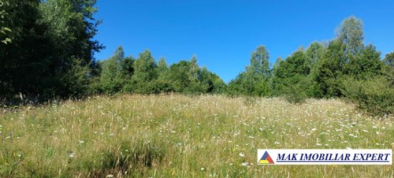 vand-teren-extravilan-7500-mp-bradulet-arges-1