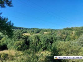 vand-teren-extravilan-7500-mp-bradulet-arges-3