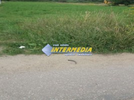 teren-intravilan-de-vanzare-in-alba-iulia-zona-cetate-zona-buna-3000-mp-2