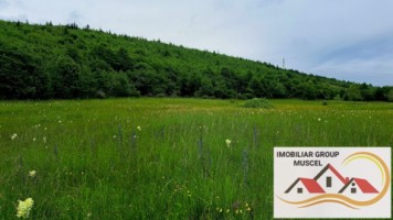 teren-extravilan-in-suprafata-de-16620-mp-in-comuna-valea-mare-pradatzona-namaestipret-49860-euro