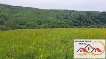 teren-extravilan-in-suprafata-de-16620-mp-in-comuna-valea-mare-pradatzona-namaestipret-49860-euro-5