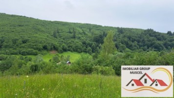 teren-extravilan-in-suprafata-de-16620-mp-in-comuna-valea-mare-pradatzona-namaestipret-49860-euro-2