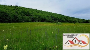 teren-extravilan-in-suprafata-de-16620-mp-in-comuna-valea-mare-pradatzona-namaestipret-49860-euro-4