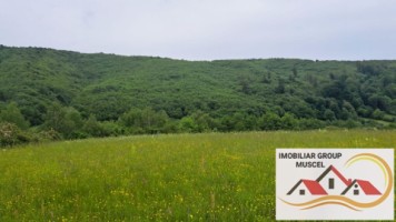 teren-extravilan-in-suprafata-de-16620-mp-in-comuna-valea-mare-pradatzona-namaestipret-49860-euro-7