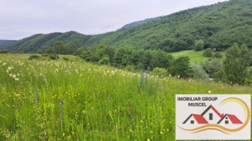 teren-extravilan-in-suprafata-de-16620-mp-in-comuna-valea-mare-pradatzona-namaestipret-49860-euro-1