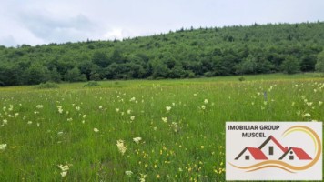 teren-extravilan-in-suprafata-de-16620-mp-in-comuna-valea-mare-pradatzona-namaestipret-49860-euro-6