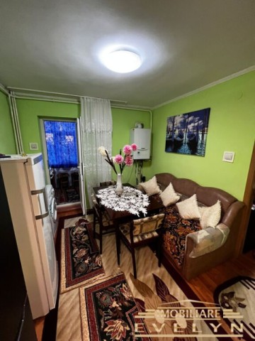 apartament-2-camere-situat-pe-alpictorului-pret-250-euro-5