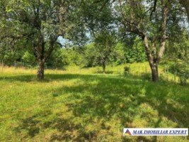 vand-vila-3-camere-teren-1500-mp-capul-piscului-godeni-arges-18