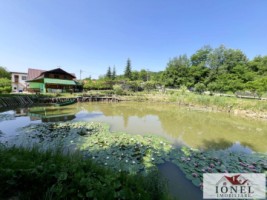 casa-de-vacanta-cu-balta-de-peste-de-vanzare-in-glogovet-valea-lunga-blaj