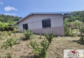 casa-de-vacanta-cu-5931-mp-teren-de-vanzare-in-zona-vintu-de-jos-2