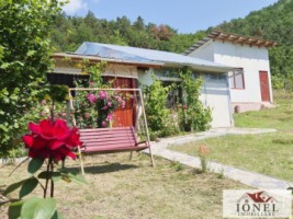 casa-de-vacanta-cu-5931-mp-teren-de-vanzare-in-zona-vintu-de-jos-1