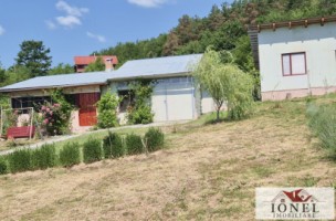casa-de-vacanta-cu-5931-mp-teren-de-vanzare-in-zona-vintu-de-jos-9