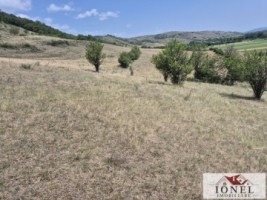4900-mp-teren-de-vanzare-in-zona-vintu-de-jos-1