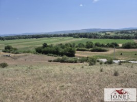 4900-mp-teren-de-vanzare-in-zona-vintu-de-jos-2