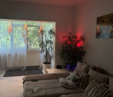 nord-3-camere-sd-24-renovat-la-75900-euro-7