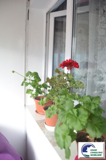 apartament-cu-doua-camere-busteni-ultracentral-1