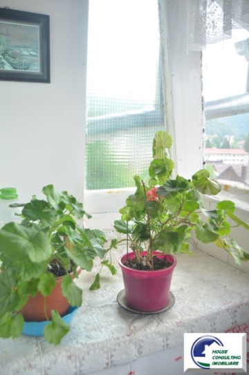 apartament-cu-doua-camere-busteni-ultracentral-3