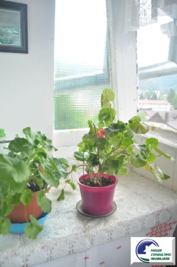 apartament-cu-doua-camere-busteni-ultracentral-4