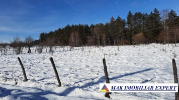 tel-invalid-vand-teren-intravilan-3700-mp-grui-campulung-muscel-arges-ideal-pentru-proiect-rezidential-sau-turistic-2