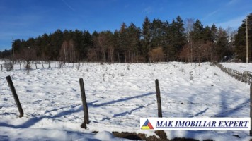 tel-invalid-vand-teren-intravilan-3700-mp-grui-campulung-muscel-arges-ideal-pentru-proiect-rezidential-sau-turistic-3
