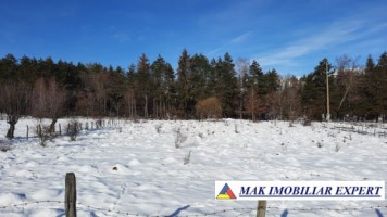 tel-invalid-vand-teren-intravilan-3700-mp-grui-campulung-muscel-arges-ideal-pentru-proiect-rezidential-sau-turistic-1