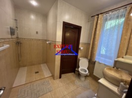 casa-eleganta-complet-mobilata-si-utilata-cu-crama-si-filigorie-selimbar-sibiu-8