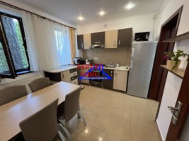 casa-eleganta-complet-mobilata-si-utilata-cu-crama-si-filigorie-selimbar-sibiu-10