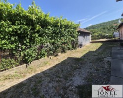 vanzare-casa-in-santimbru-dumitra-12