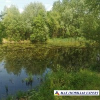 teren-648-ha-lacuri-cu-peste-7200-mp-luciu-apa-langa-raul-targuluiin-mihaesti-arges-3