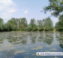 teren-648-ha-lacuri-cu-peste-7200-mp-luciu-apa-langa-raul-targuluiin-mihaesti-arges-4