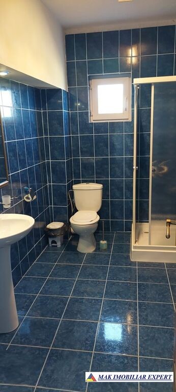 vand-vila-9-camere-cu-teren-de-6500-mp-de-vanzare-in-balilesti-arges-8