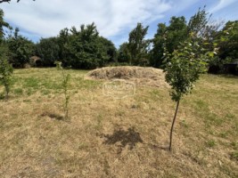chirie-teren-intravilan-s-650-mp-zona-pensiunea-bianca
