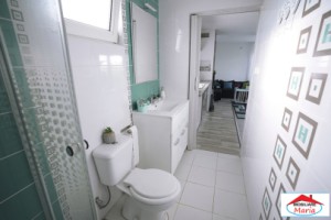 teren-10-arii-cu-casa-pe-cadre-metalice-zona-panait-cerna-4
