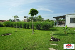 teren-10-arii-cu-casa-pe-cadre-metalice-zona-panait-cerna-5