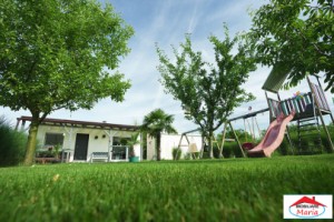 teren-10-arii-cu-casa-pe-cadre-metalice-zona-panait-cerna-12