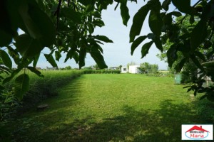 teren-10-arii-cu-casa-pe-cadre-metalice-zona-panait-cerna-10