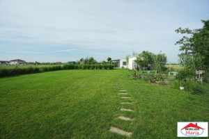 teren-10-arii-cu-casa-pe-cadre-metalice-zona-panait-cerna-8