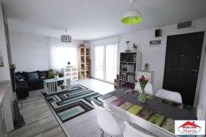 teren-10-arii-cu-casa-pe-cadre-metalice-zona-panait-cerna-14