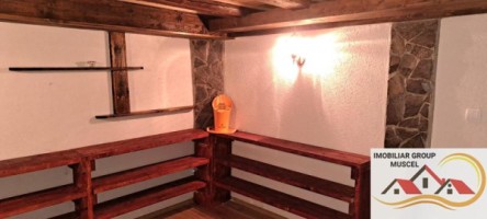 vila-de-vanzare-6-camere-leresti-7
