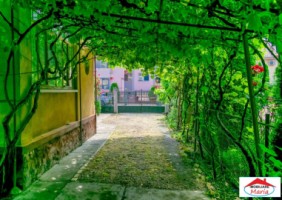 casa-parter-cu-teren-5-ari-zona-14-mai-1