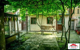 casa-parter-cu-teren-5-ari-zona-14-mai-3