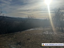 teren-8040-mp-intra-extravilan-de-vanzare-in-mioarele-matau-arges-1