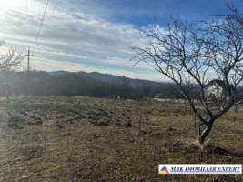 teren-8040-mp-intra-extravilan-de-vanzare-in-mioarele-matau-arges-2