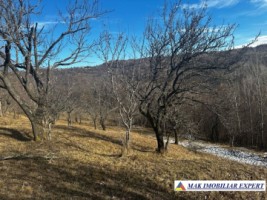 teren-8040-mp-intra-extravilan-de-vanzare-in-mioarele-matau-arges-3