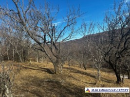 teren-8040-mp-intra-extravilan-de-vanzare-in-mioarele-matau-arges-4